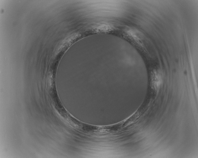 X0000060790451200511241849