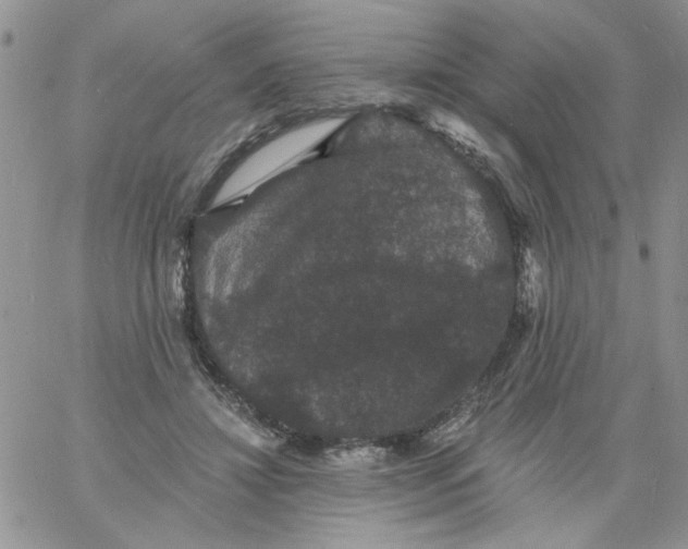 X0000060790452200511241849