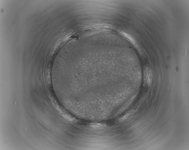 X0000060790453200511241849