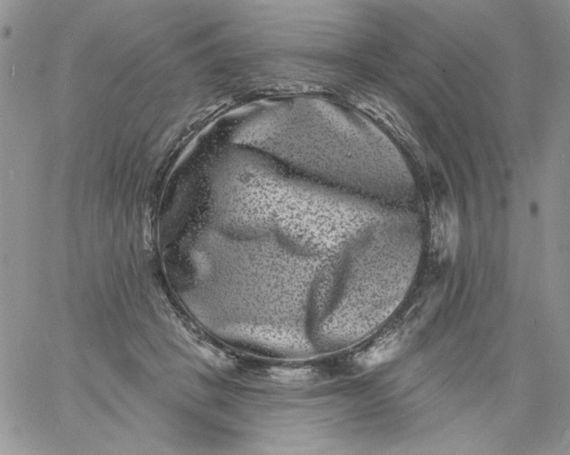 X0000060790457200511241849