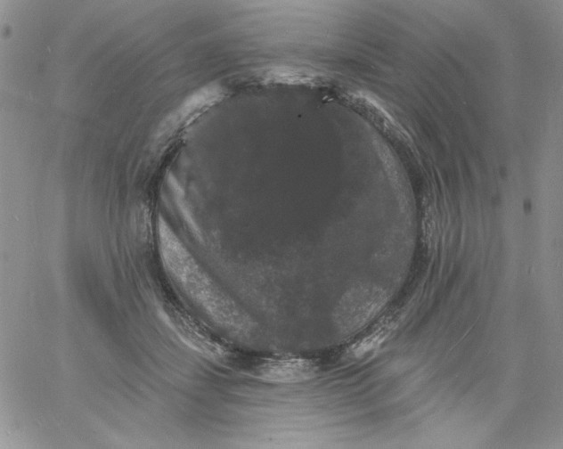 X0000060790459200511241849