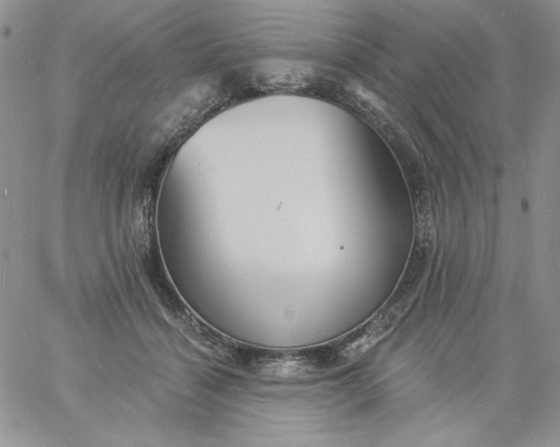 X0000060790460200511241849