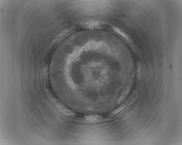 X0000060790461200511241849