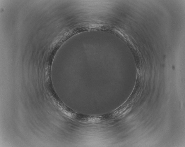 X0000060790462200511241849