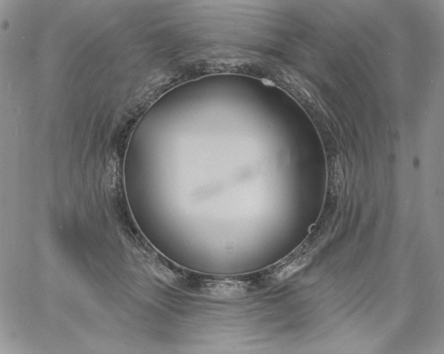 X0000060790463200511241849