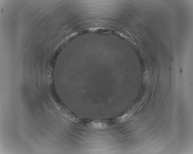 X0000060790464200511241849