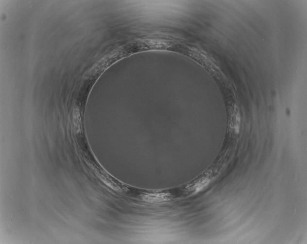 X0000060790465200511241849