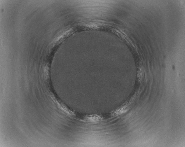 X0000060790466200511241849