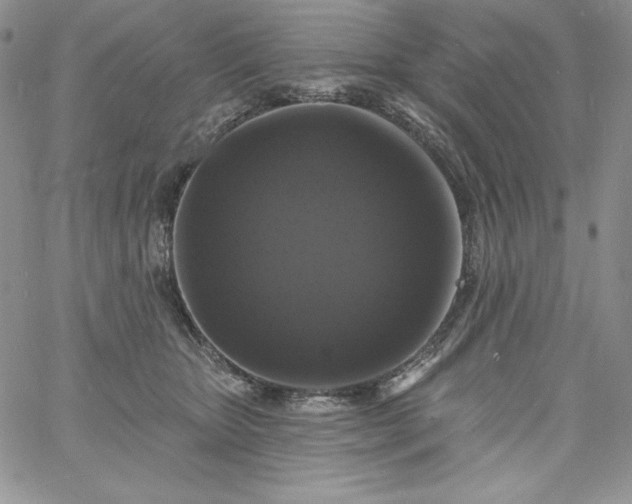 X0000060790467200511241849