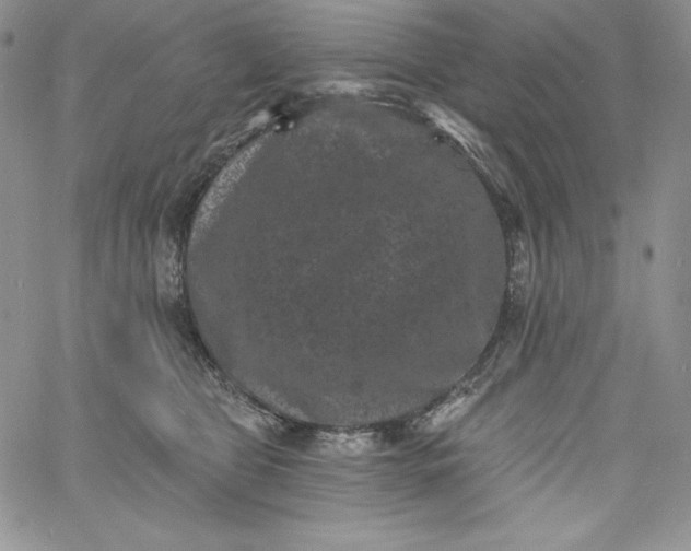 X0000060790469200511241849