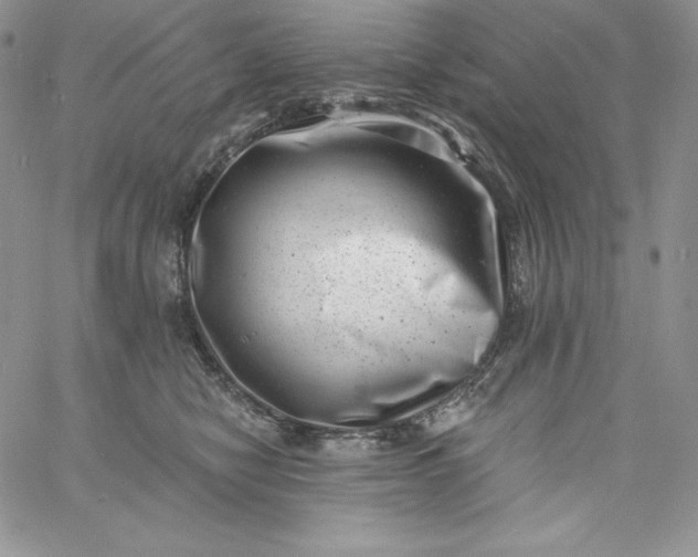 X0000060790470200511241849