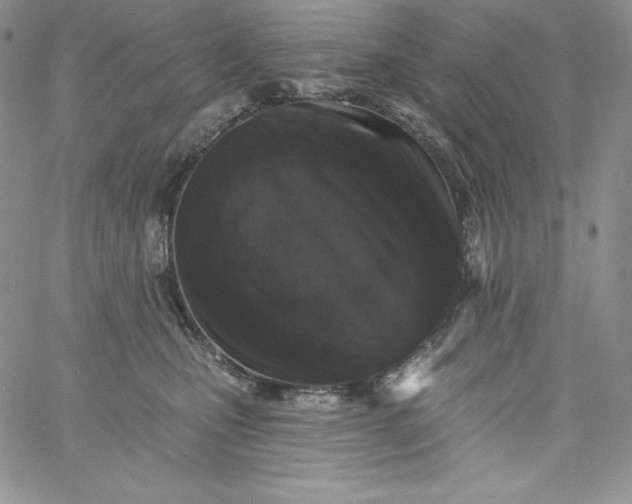 X0000060790471200511241849