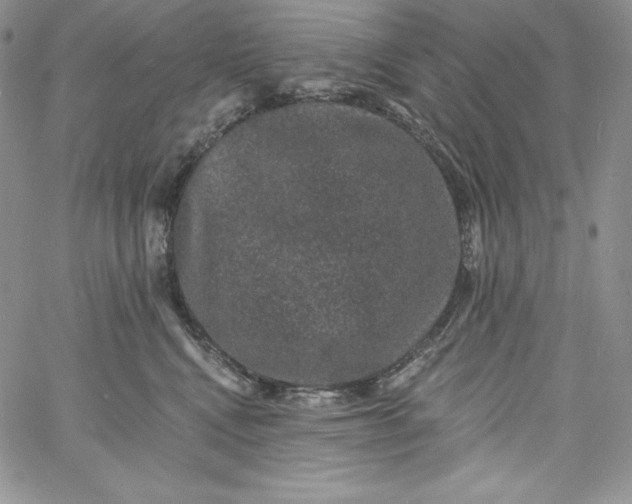 X0000060790472200511241849