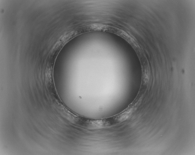 X0000060790473200511241849