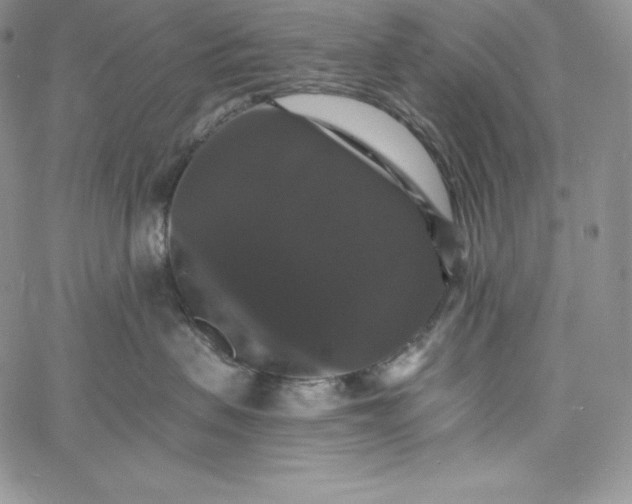 X0000060790479200511241849