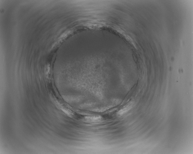 X0000060790480200511241849