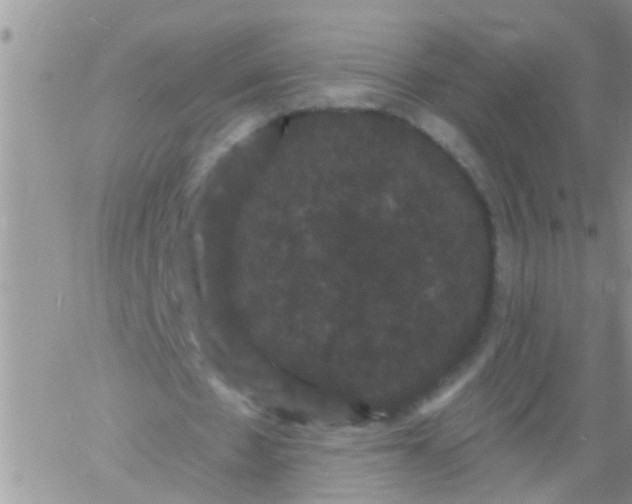 X0000060790481200511241849