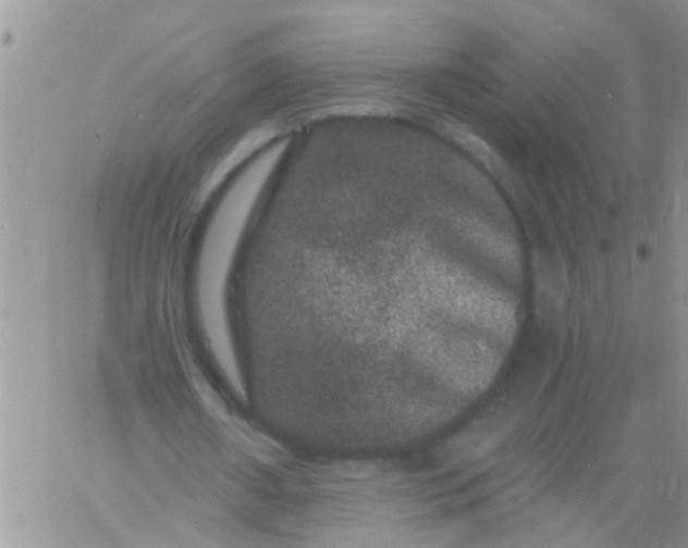 X0000060790482200511241849