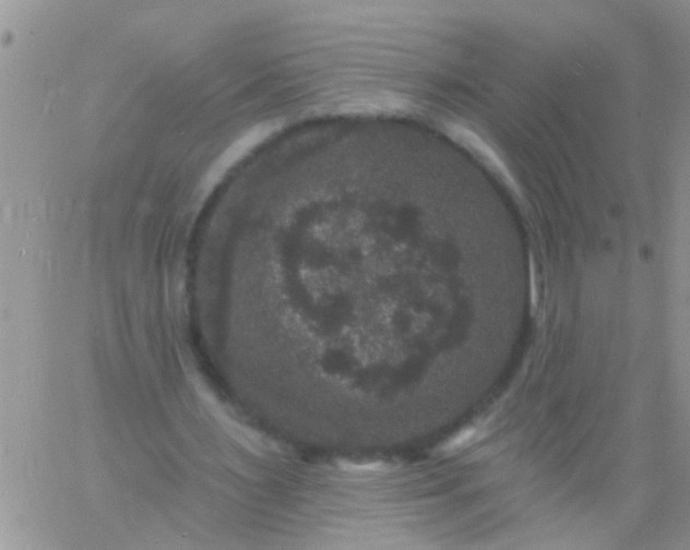 X0000060790483200511241849