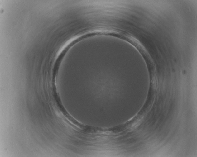 X0000060790484200511241849