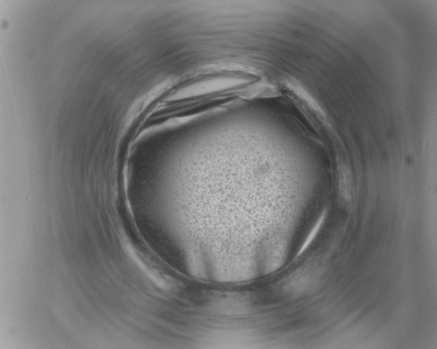 X0000060790486200511241849