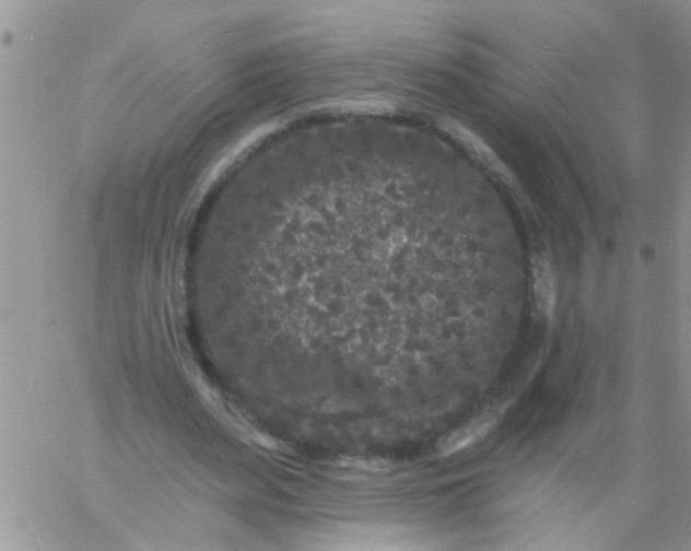 X0000060790487200511241849