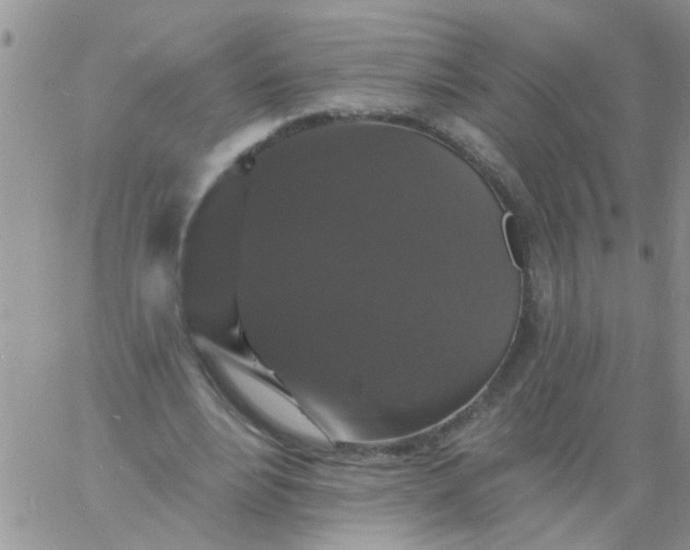 X0000060790488200511241849