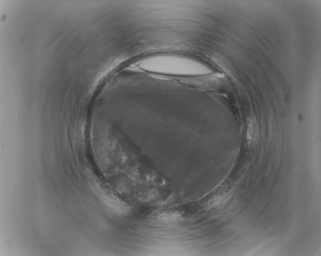 X0000060790491200511241848