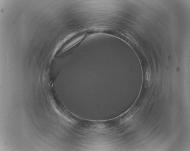 X0000060790492200511241848