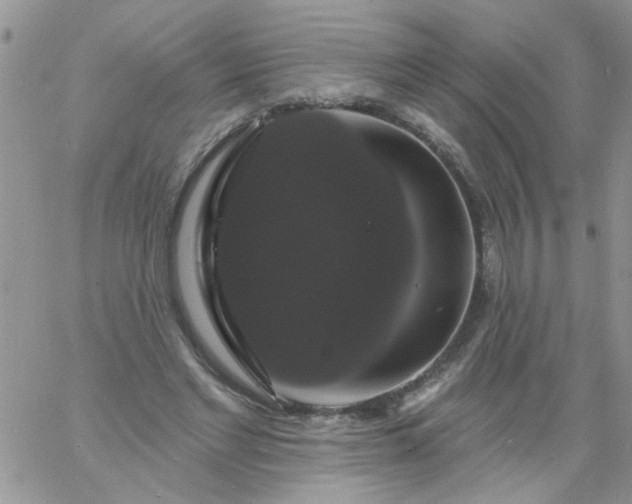 X0000060790493200511241848