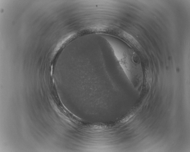 X0000060790494200511241848