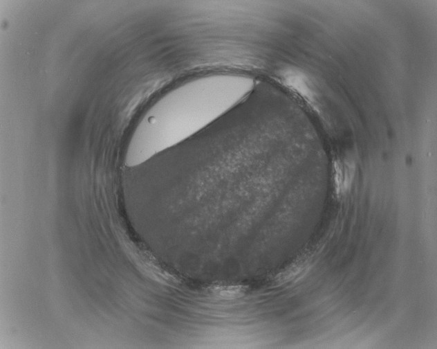 X0000060790495200511241848