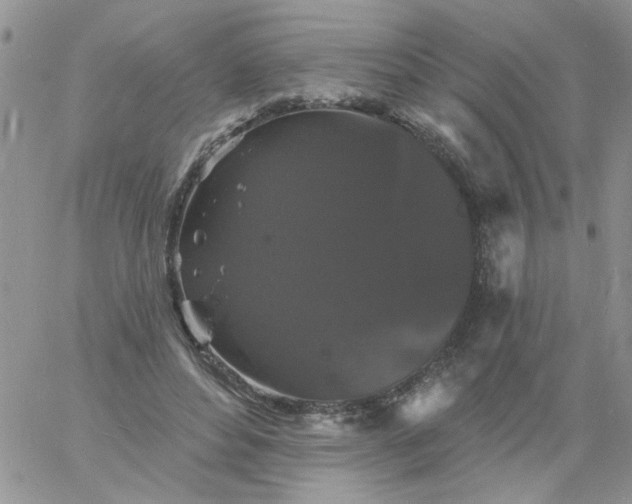 X0000060790496200511241848