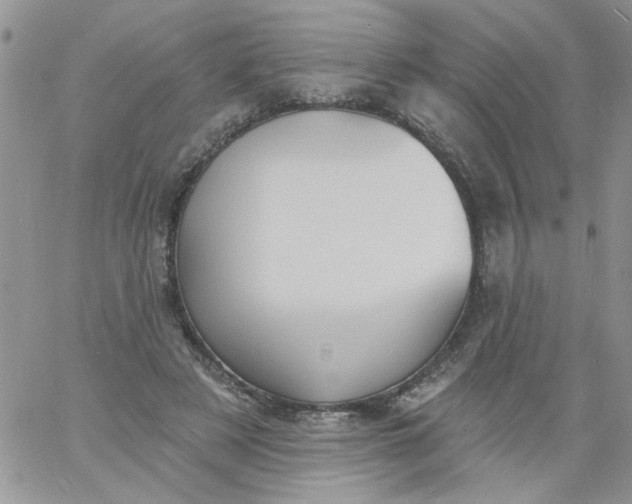 X0000060790497200511241848