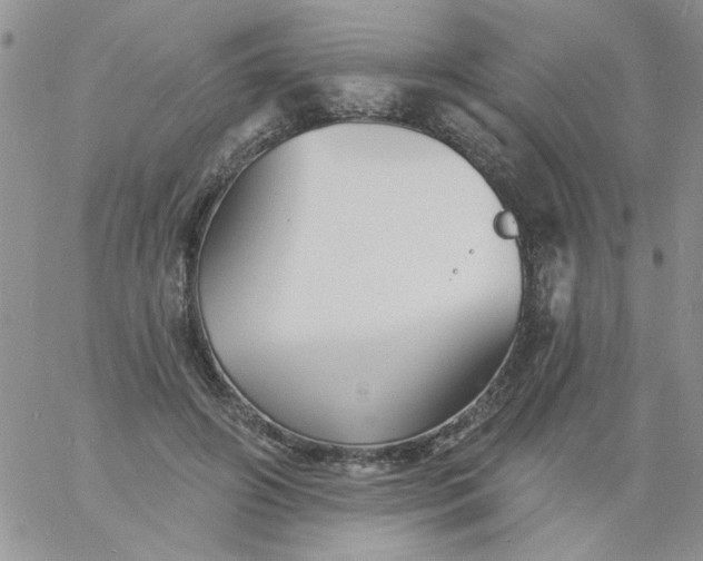 X0000060790498200511241848