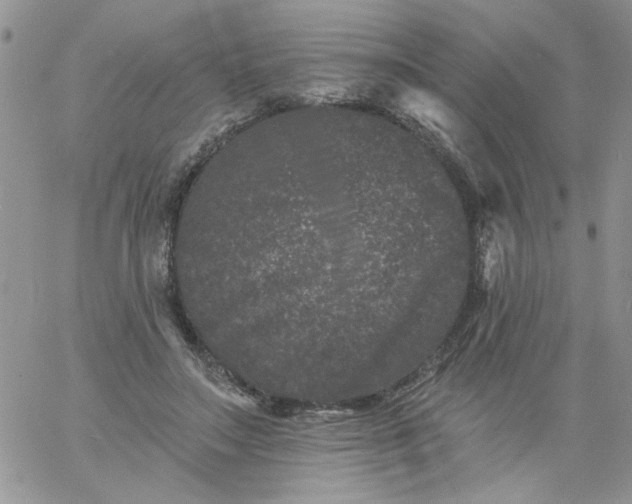 X0000060790499200511241848