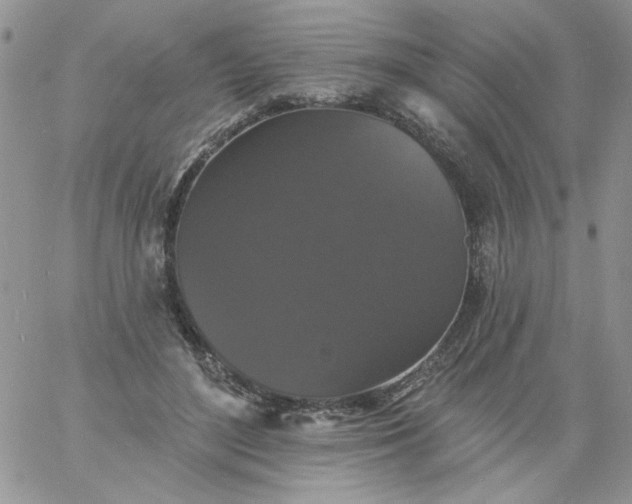 X0000060790500200511241848