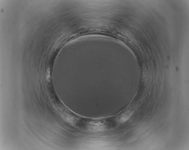 X0000060790502200511241848