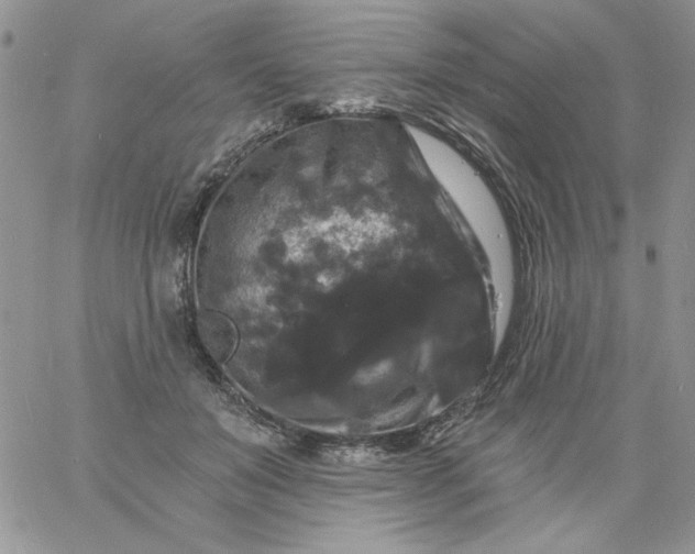 X0000060790503200511241848