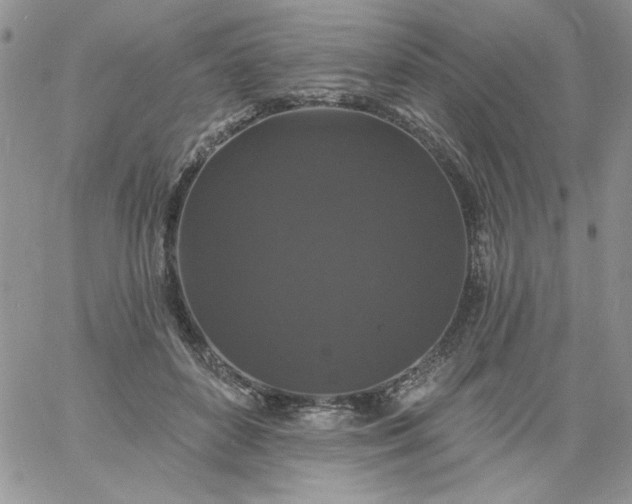 X0000060790504200511241848