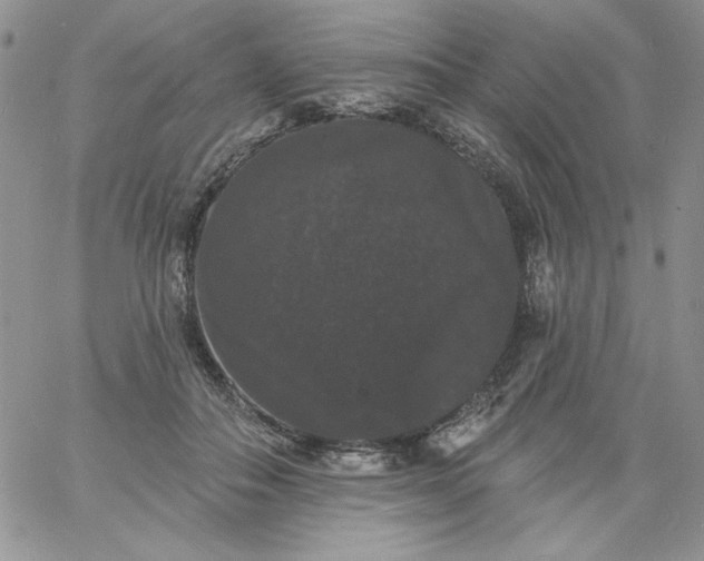 X0000060790506200511241848