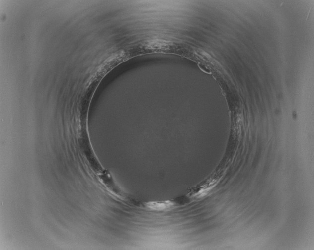 X0000060790508200511241848