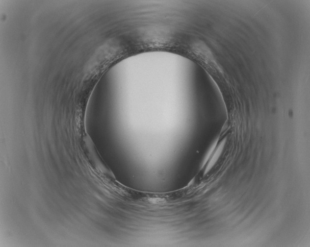 X0000060790509200511241848