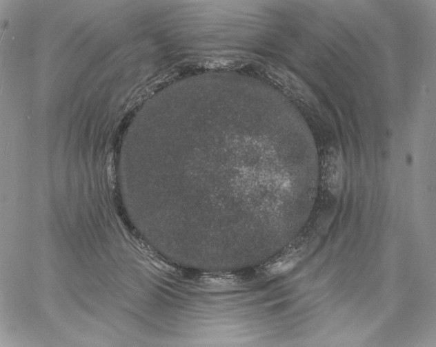 X0000060790510200511241848