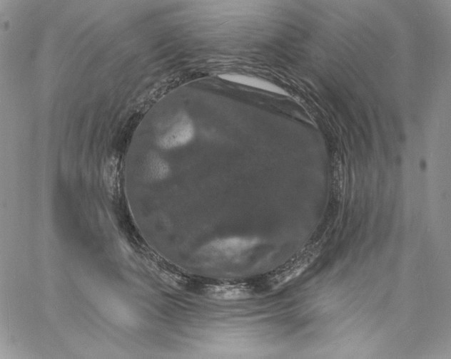 X0000060790511200511241848