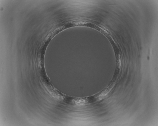 X0000060790512200511241848