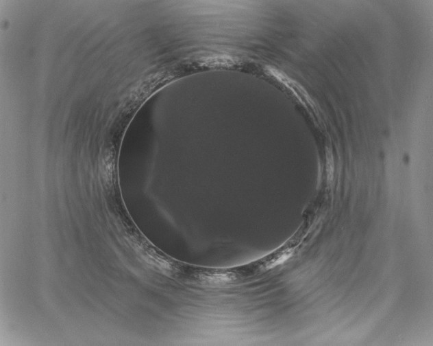 X0000060790513200511241848