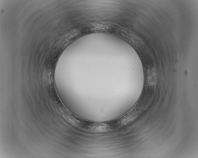 X0000060790514200511241848