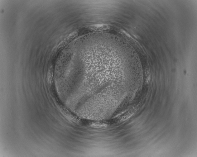 X0000060790515200511241848