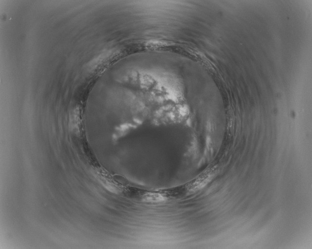 X0000060790519200511241848